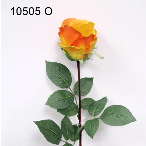 Роза Джесика, бутон (оранжевая)