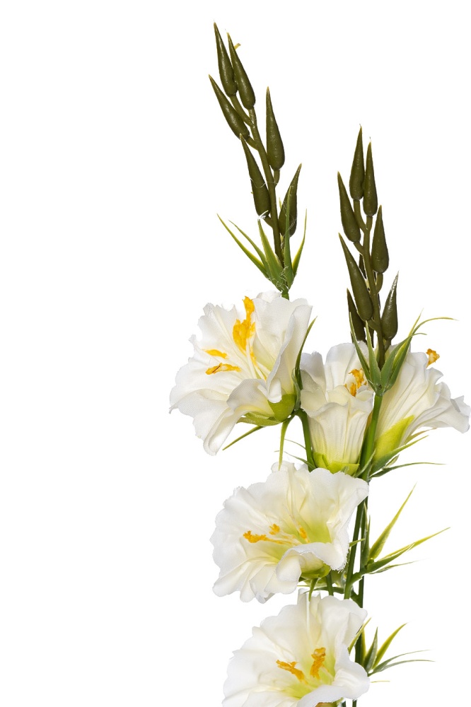 Гибискус белый 78см (12)